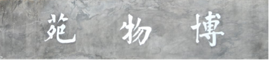 图片6621.png